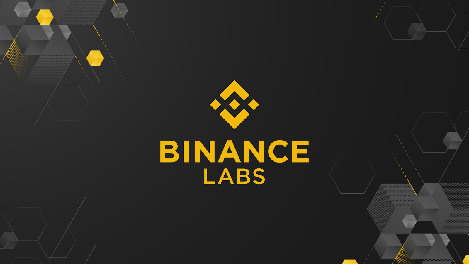 Bật mí danh mục đầu tư của Binance Labs trong năm 2023