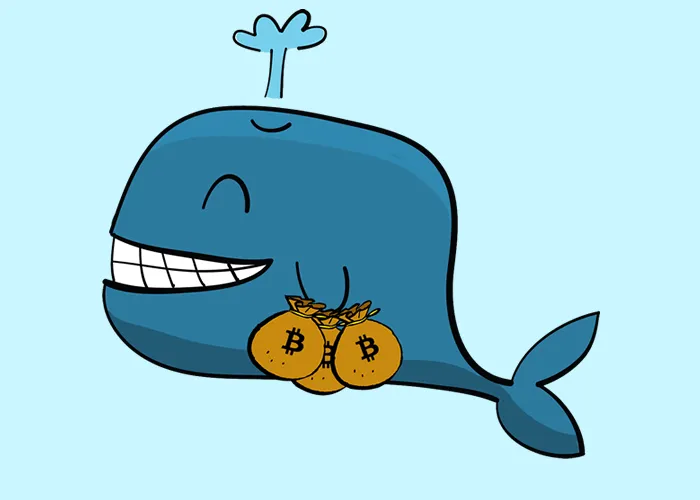 Cá voi tích cực gom gần 50.000 Bitcoin chỉ trong 5 ngày