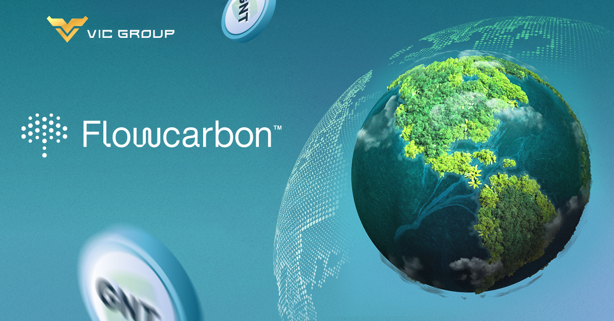 Flowcarbon's Core Tenets for the Tokenization of Voluntary Carbon Offset Credits