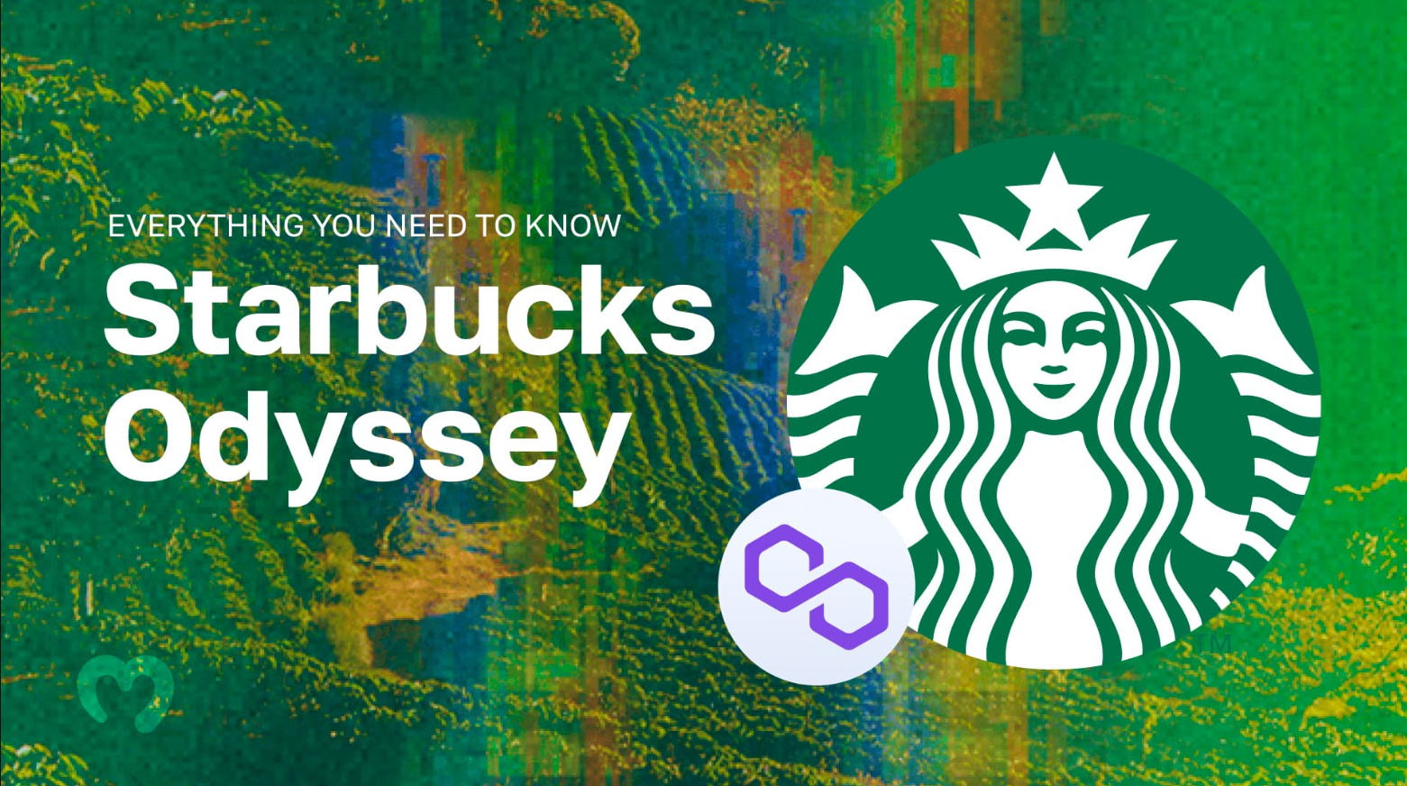 Starbucks sẽ đóng cửa nền tảng phần thưởng NFT Odyssey Beta 